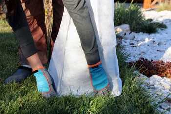 7 Ways to Protect Your Plants in Winter
