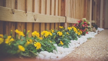 A Beginner's Guide to Landscaping