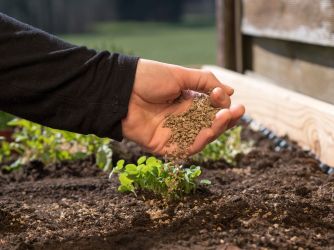 Explaining Plant Food and Fertilizers