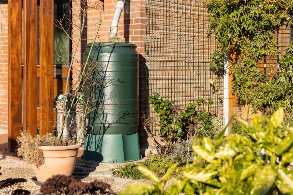 Gardening with natural resources in mind - Little Mountain Garden Centre