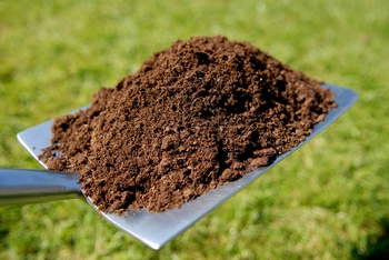 Growing plants in peat-free compost