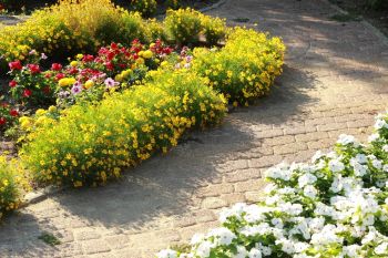 Keep Your Garden Paths Looking Good