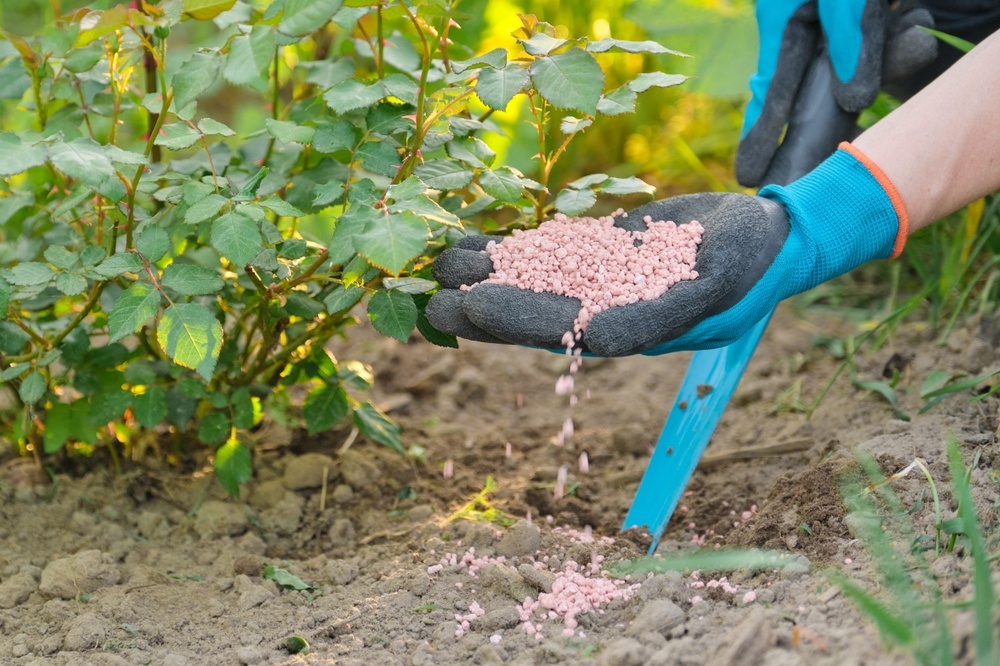 Our top 15 gardening tips for April - Little Mountain Garden Centre