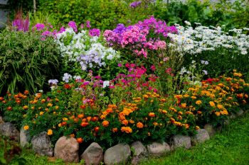 Perennials Made Simple Guide
