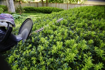 Top 5 alternatives to box hedging