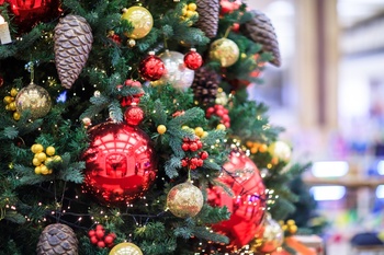 Why Garden Centres Are Great for Christmas Shopping