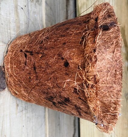 COCOFIBRE POT 3.5"