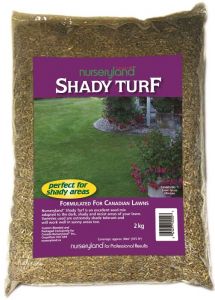 N/Land Shady Turf Grass/Sd 2kg